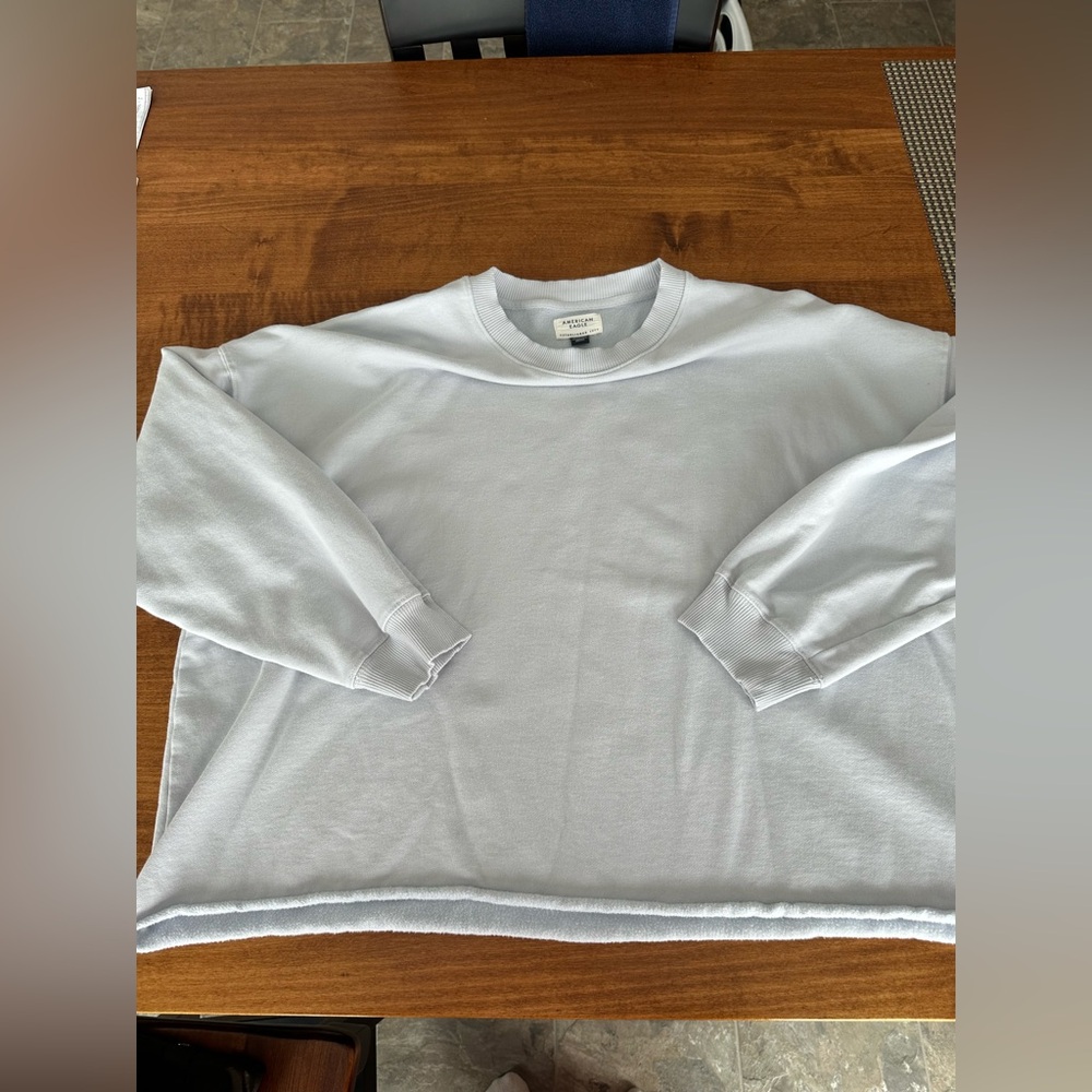 American Eagle Crop Sweatshirt